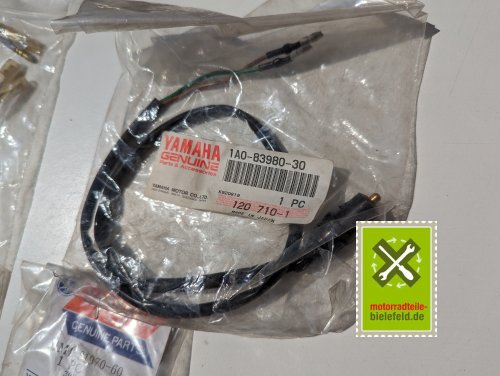 PXL_20240523_111528615